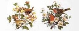 Wasmotief 386 vogels | Rayher