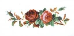 Wasmotief 387 rozen | Rayher