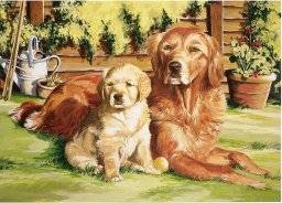 reeves schilderen nummer PL108 dogs