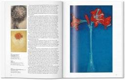 Mondriaan basismonografie | Taschen