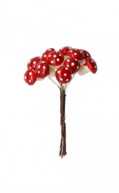 Decoratie paddenstoelen | Glorex