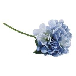 Hortensia blauw 55906356 | Rayher