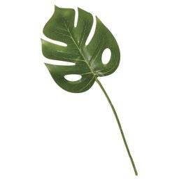 Monstera blad 55840000 | Rayher 