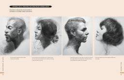 librero klassiek modeltekenen het hoofd