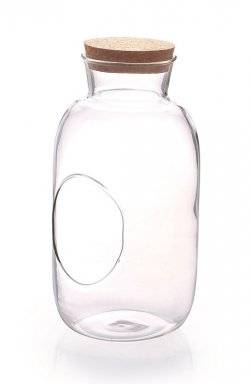 Glazen fles met kurk 167985 | Graine creative 