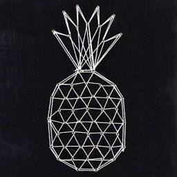 String art set ananas 100658 | Graine creative 