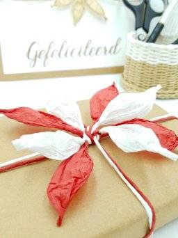 Papiertouw rood  25M