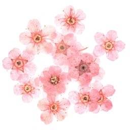 Mini flowers pink 500700 | Rico design