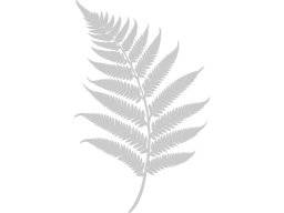 Sjabloon fern foliage | Crafters companion