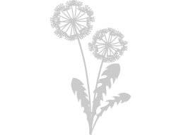 Sjabloon dandelion clock | Crafters companion