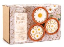 DIY daisies candle kit 152028 | Graine creative 