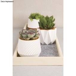 Gietvorm mini potjes 36184000 | Rayher