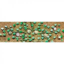 Hoscale cantaloupe patch 95573 | JTT
