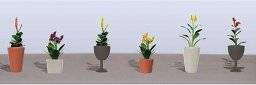 Potted Flower Plants 2 95567 | JTT