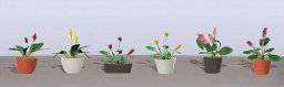 Potted flower plants 3 95569 | JTT