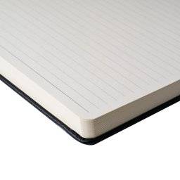 Ruled notebook pine needle | Sakura