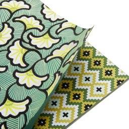 Craft papers green A4 95094 | Clairefontaine