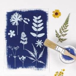 Cyanotype papier A4 10vel 95861C | Clairefontaine