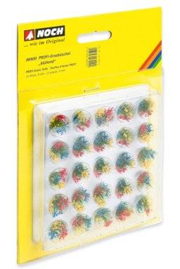 Profi grasbussels bloeiend 06900 | Noch