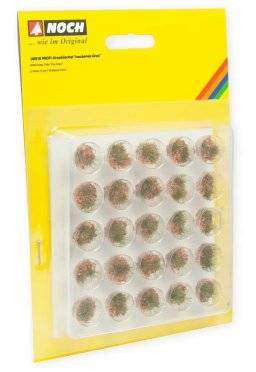 Profi grasbussels droog 06910 | Noch
