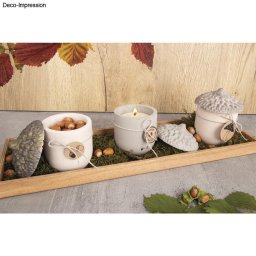 rayher gietvorm eikel 36215000