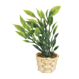 rayher miniatuur plant 46859000
