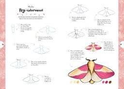librero 10 stappen vlinders,kevers,bijen