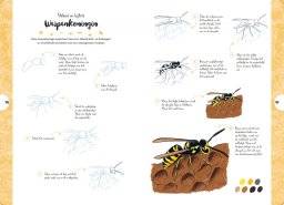 librero 10 stappen vlinders,kevers,bijen