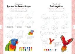 librero tekenen in 10 stappen vogels