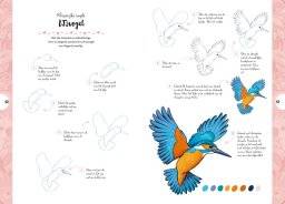 librero tekenen in 10 stappen vogels