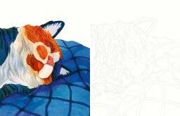 librero kleurboek katten aquarelleren