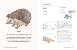 librero dieren & planten aquarelleren