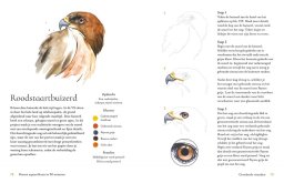 librero dieren aquarelleren 30 minuten