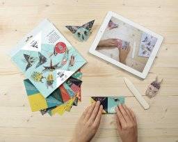 clairefontaine  origami kit insecten 95366C