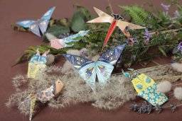 clairefontaine  origami kit insecten 95366C