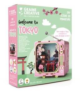graine creative  DIY 3D scene TV tokyo 651065