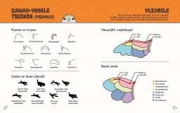 librero kawaii vogels telenen