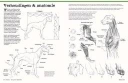 librero dieren - het grote tekenboek