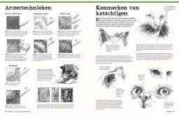 librero dieren - het grote tekenboek