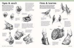 librero dieren - het grote tekenboek