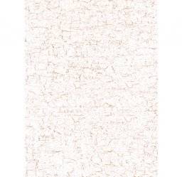 Papier wit/goud crackle fda444 | Decopatch