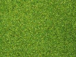 Strooimateriaal lichtgroen 08410 | Noch