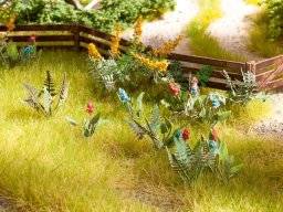 Veld en weide bloemen 14056 | Noch