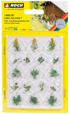 Veld en weide bloemen 14056 | Noch