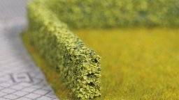 Model haag groen 21512 | Noch