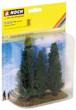 Cypresse bomen 21998 | Noch
