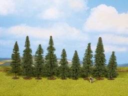 Dennenbomen 25086 | Noch